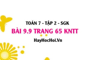 Bài 9.9 trang 65 Toán 7 Tập 2 Kết nối tri thức